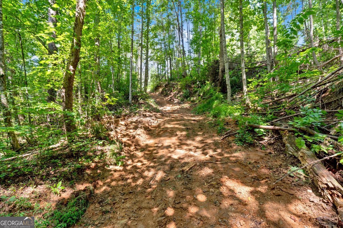 196 Whitestone Drive Talking Rock - 60