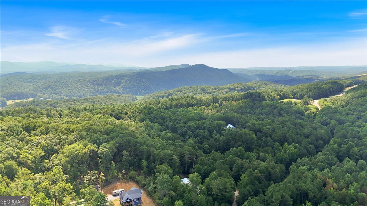 196 Whitestone Drive Talking Rock - 65