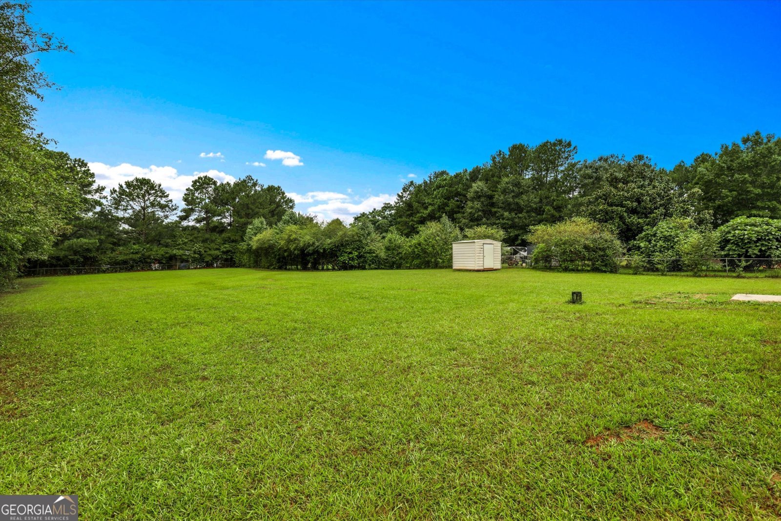 1491 Dolly Nixon RD Road Senoia - 3