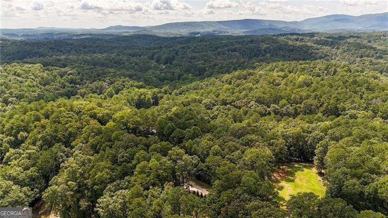 190 Ash Trail Waleska - 57