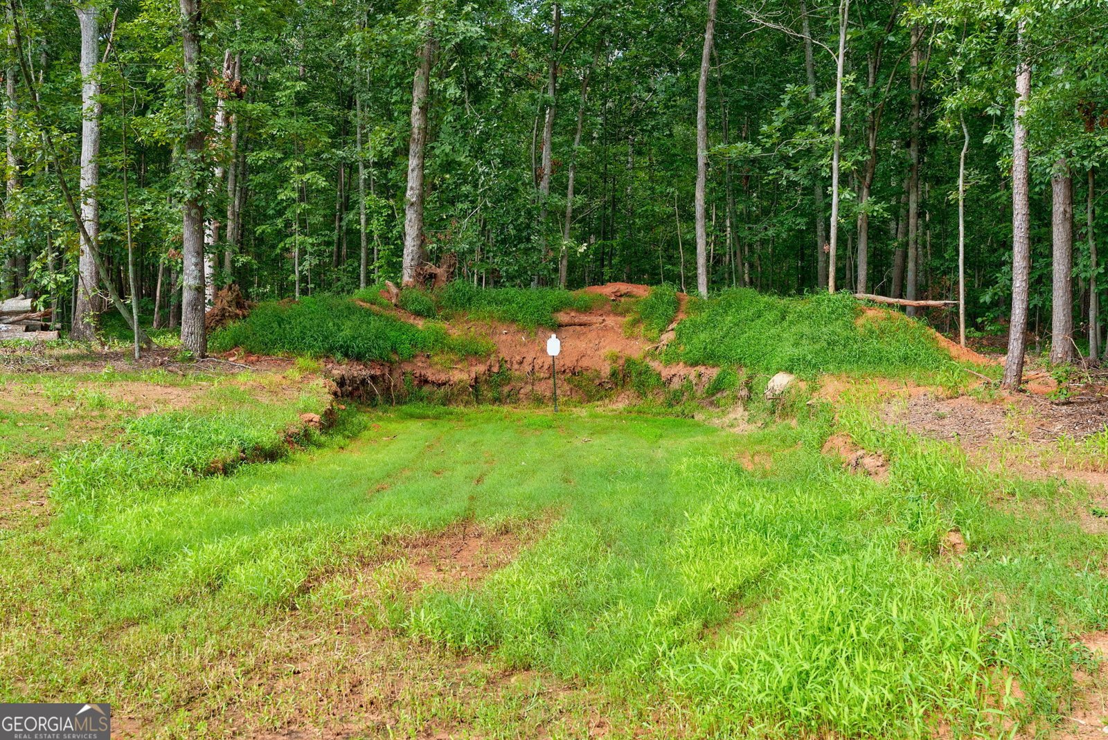 156 Saddle Creek Drive Monroe - 65
