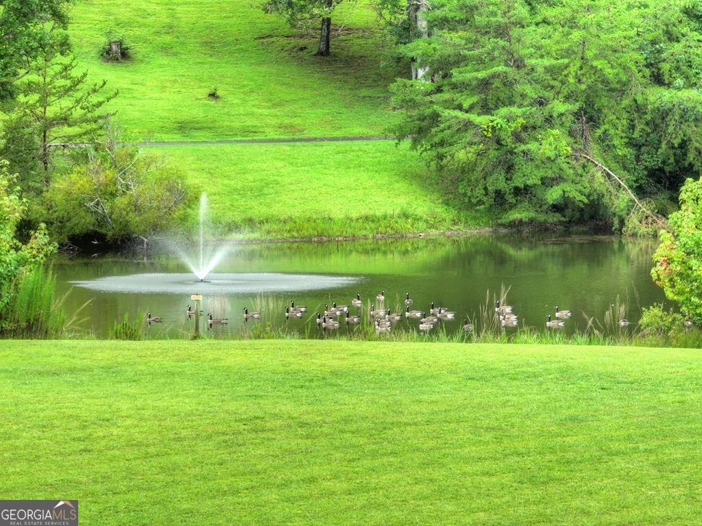 167 Whispering Pine Lane Cherry Log - 10