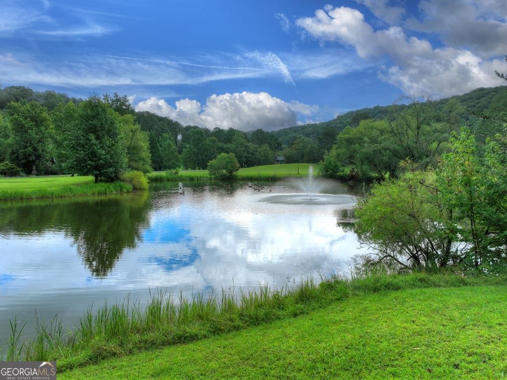 167 Whispering Pine Lane Cherry Log - 35