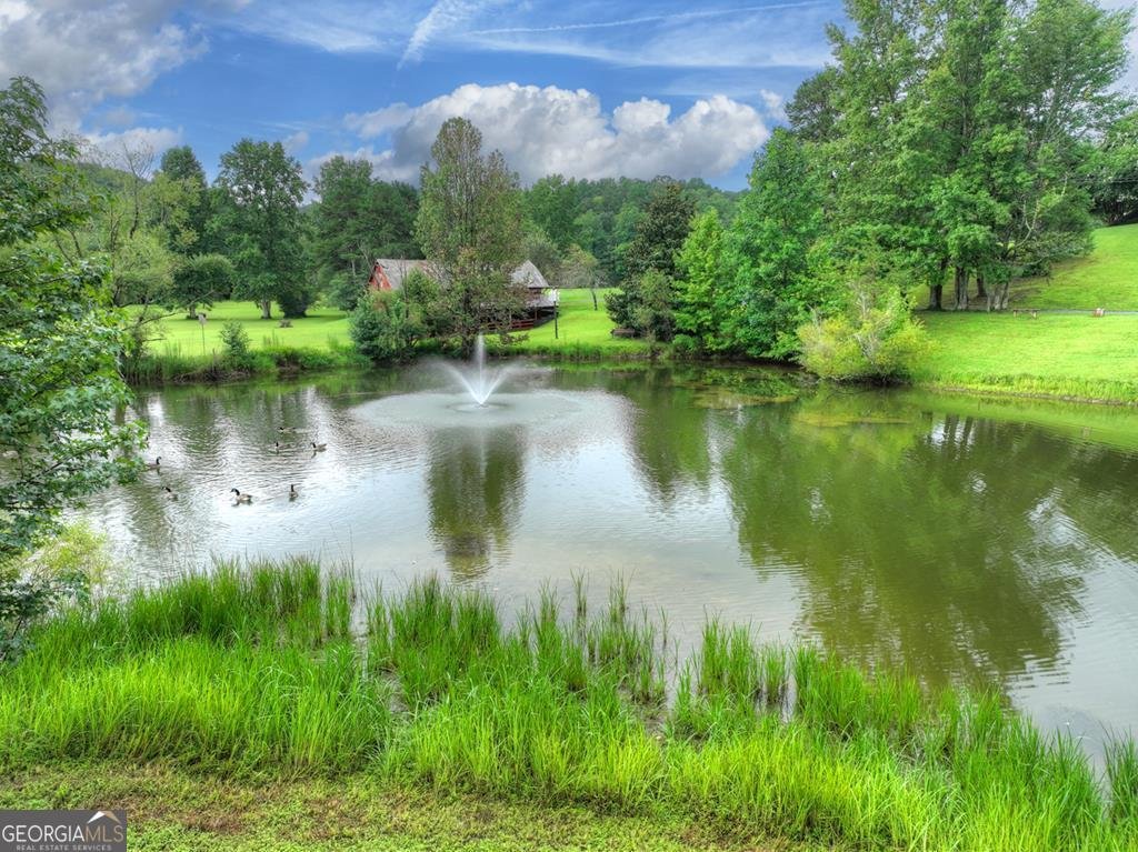 167 Whispering Pine Lane Cherry Log - 36