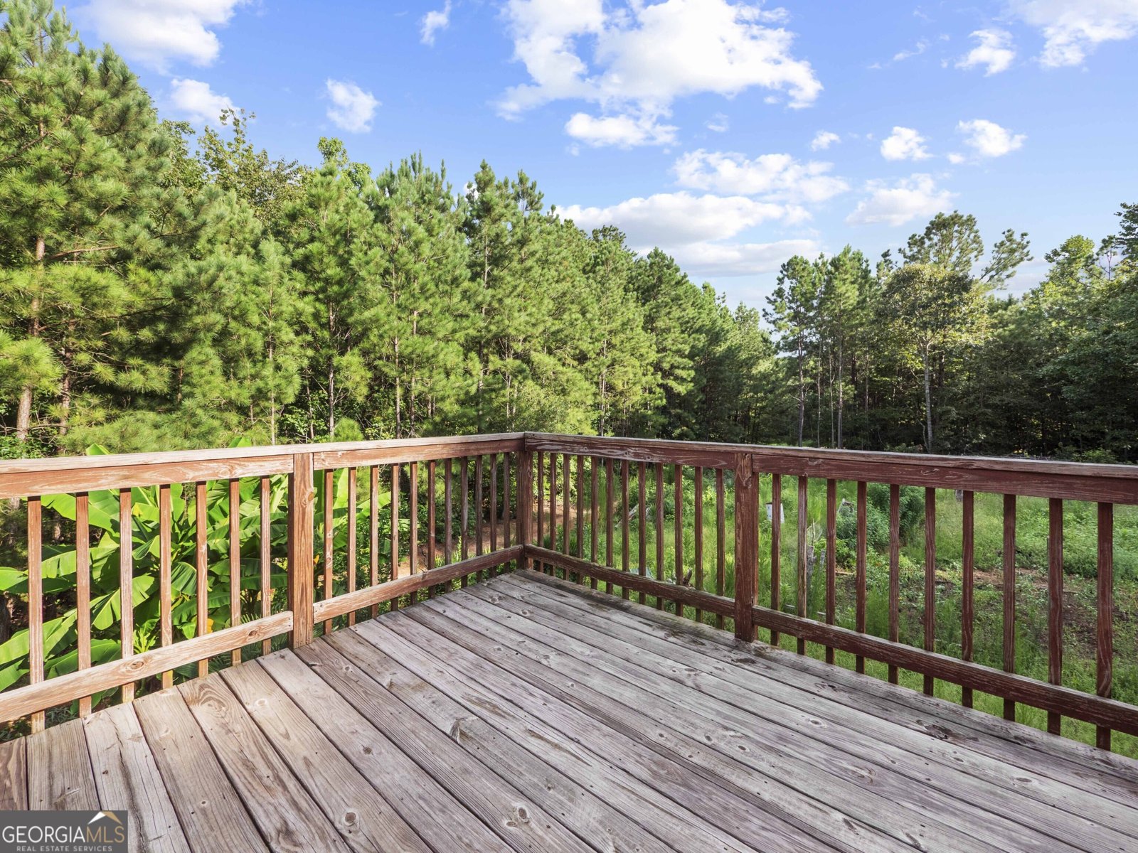 3501 Silver Wood Walk Gainesville - 25