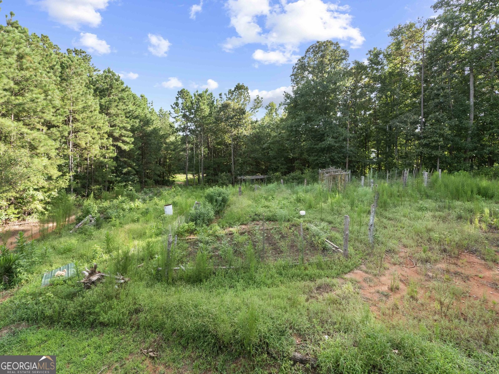 3501 Silver Wood Walk Gainesville - 26
