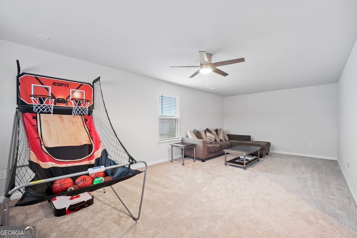 259 Paulownia Circle McDonough - 23