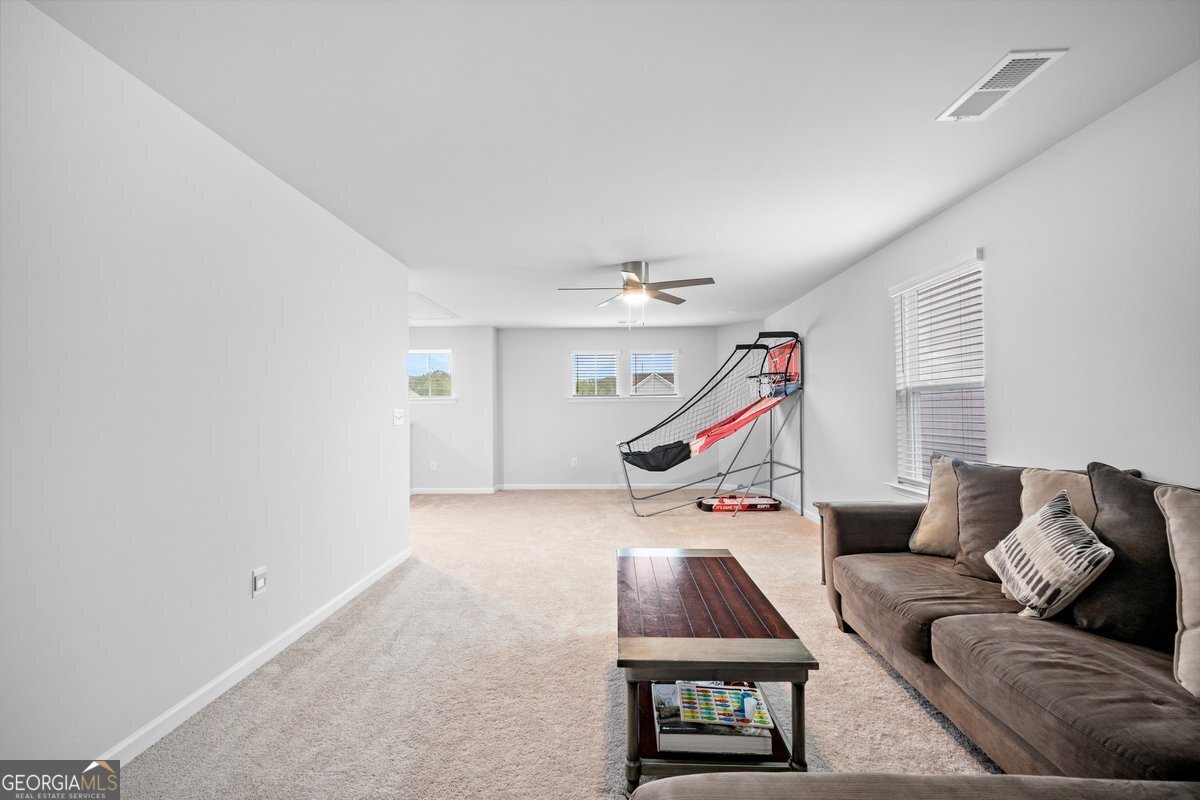 259 Paulownia Circle McDonough - 24