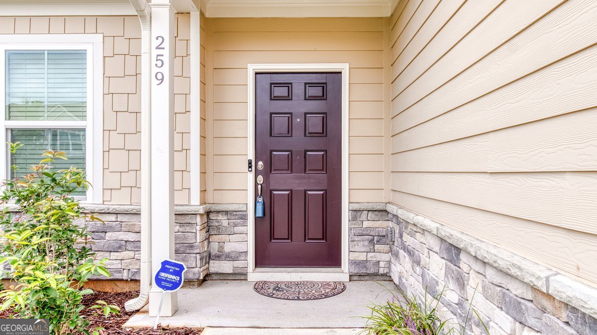259 Paulownia Circle McDonough - 4