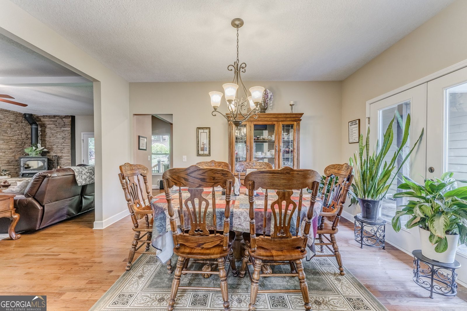 9547 Haywood Valley Road Summerville - 10