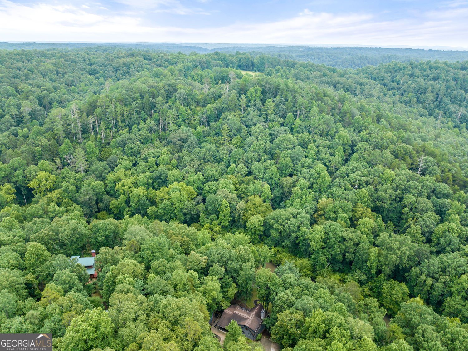 338 Woody Tucker Road Road Dawsonville - 9