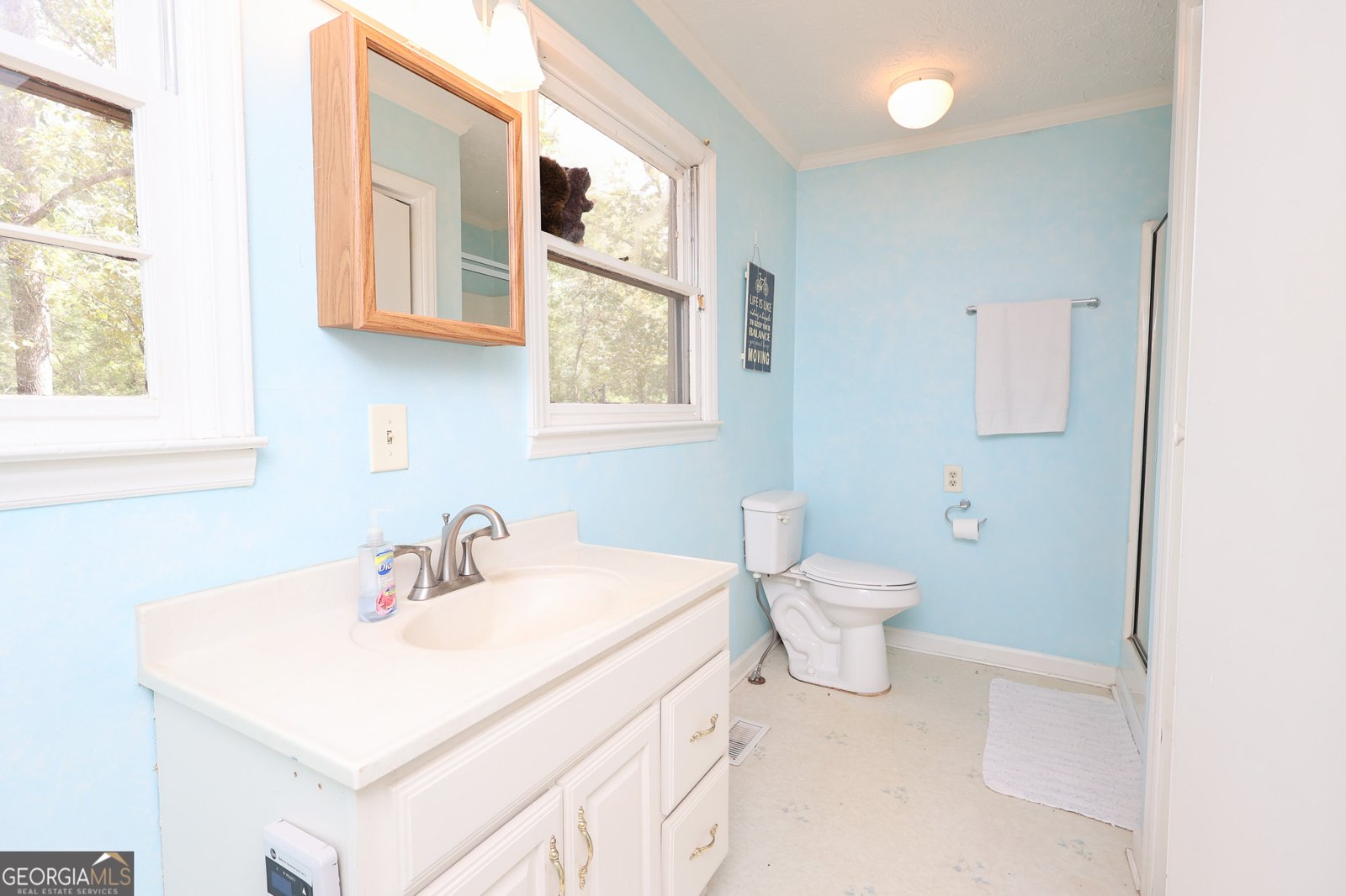 299 Chapman Road Lizella - 11