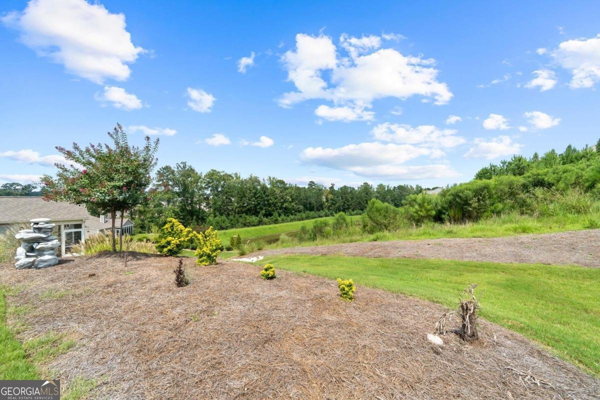 1061 Little Shoals Road Greensboro - 4