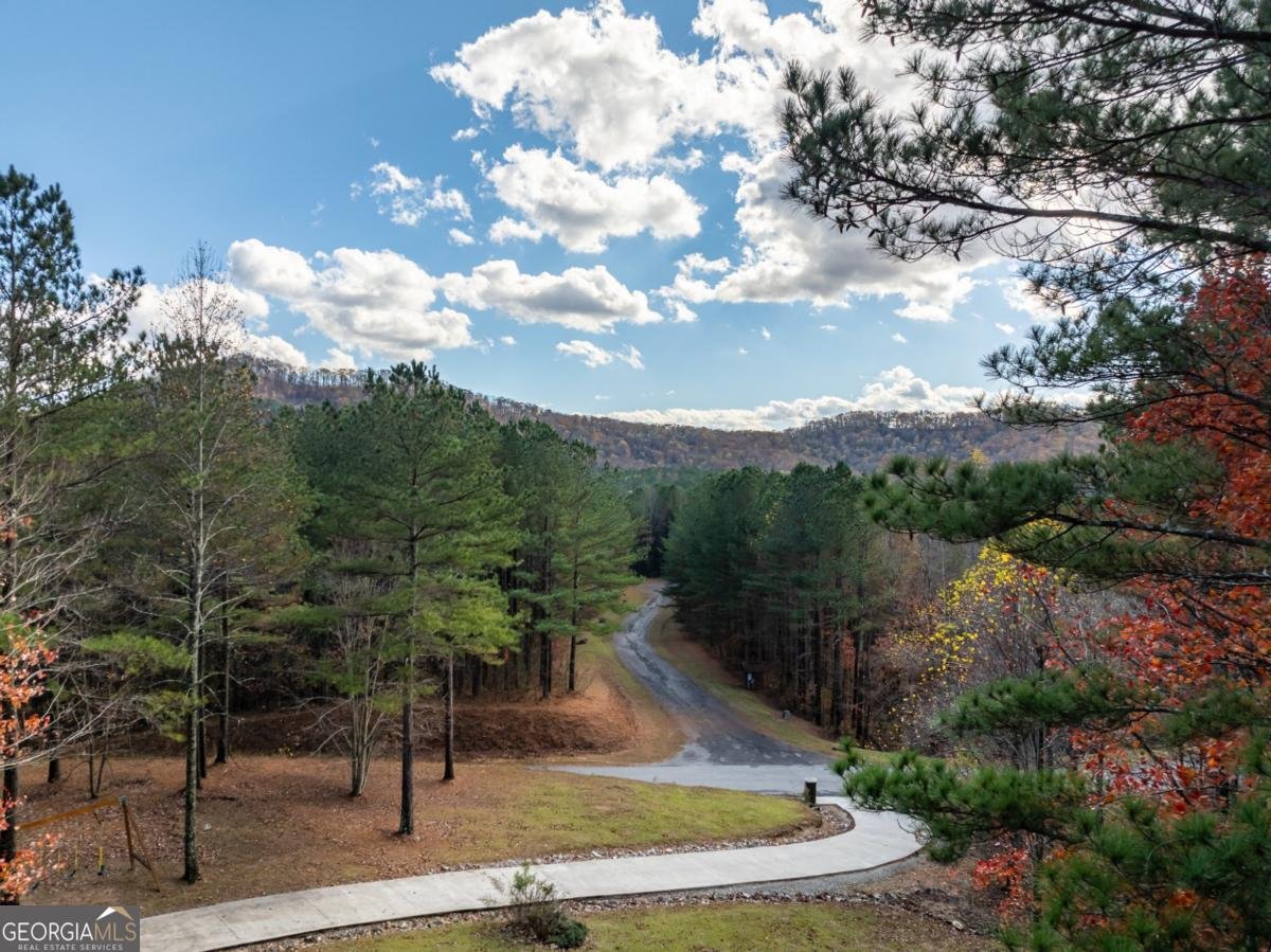 270 Black Bear Ridge Road Ellijay - 3