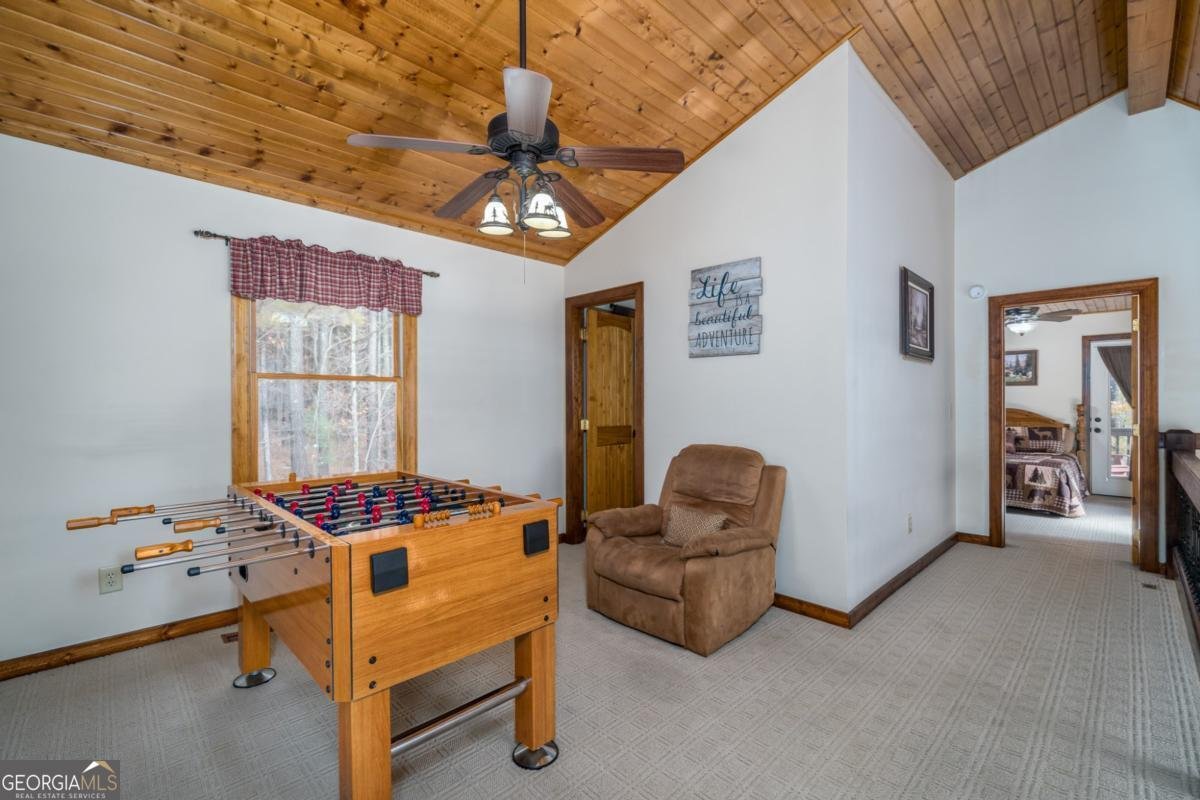 270 Black Bear Ridge Road Ellijay - 34