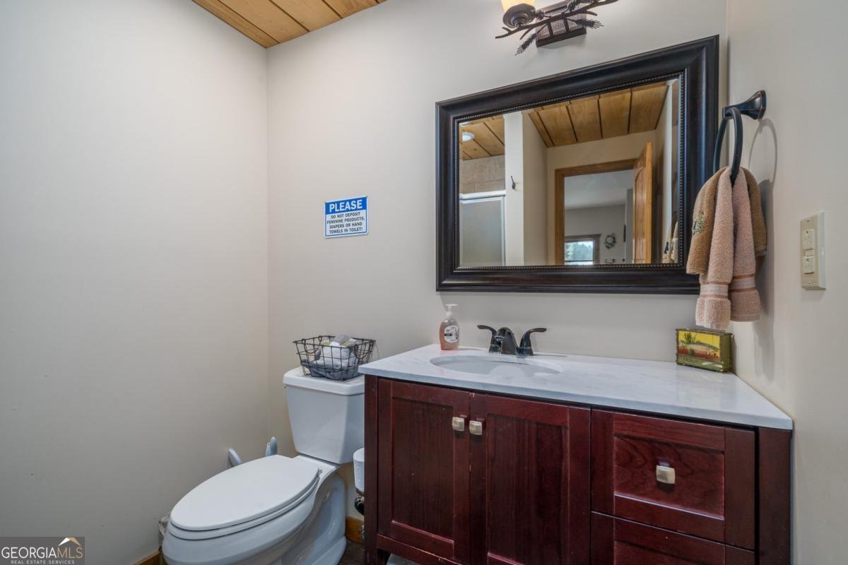 270 Black Bear Ridge Road Ellijay - 49