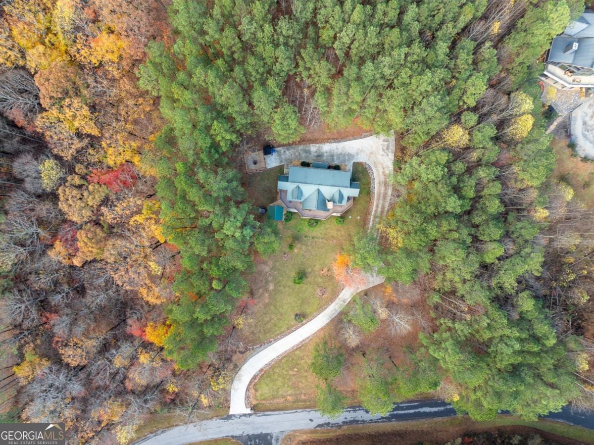 270 Black Bear Ridge Road Ellijay - 59