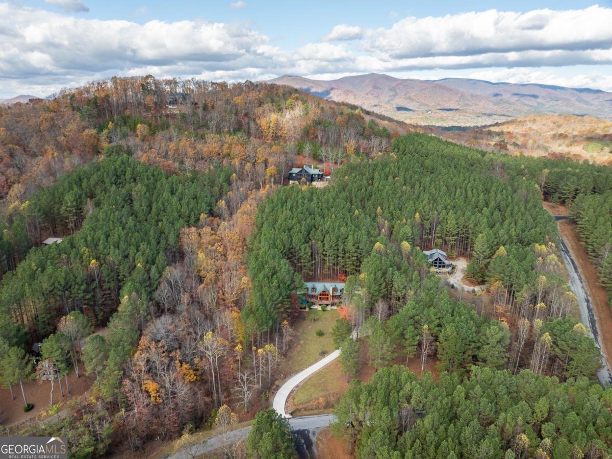 270 Black Bear Ridge Road Ellijay - 61