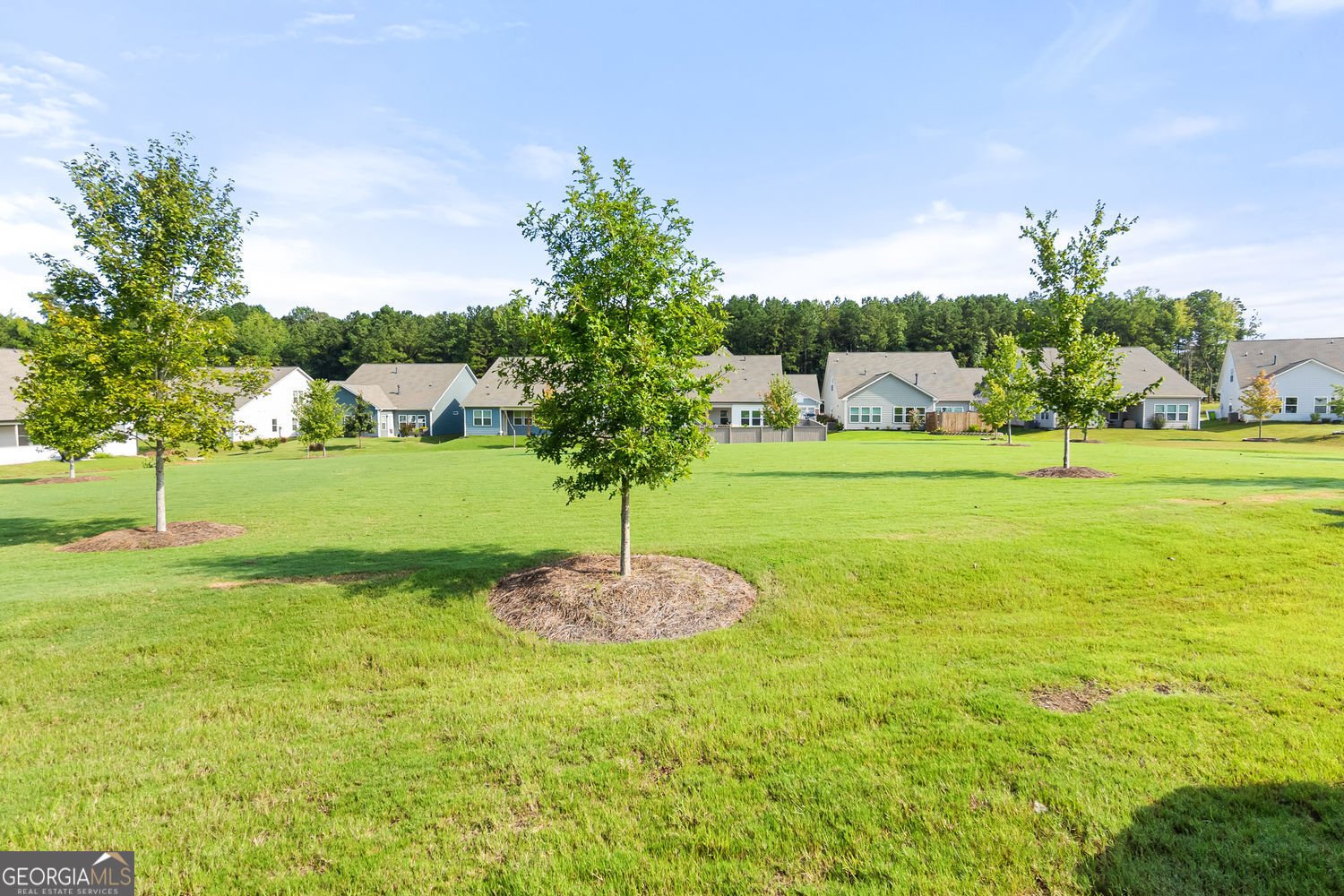 375 Plainfield Street Fayetteville - 32