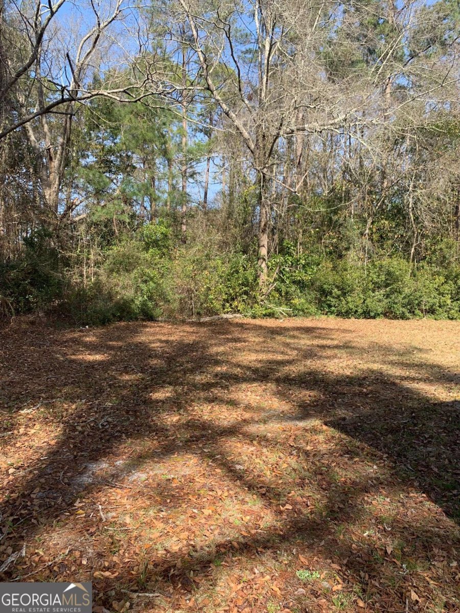 675 Main Street Baxley - 17