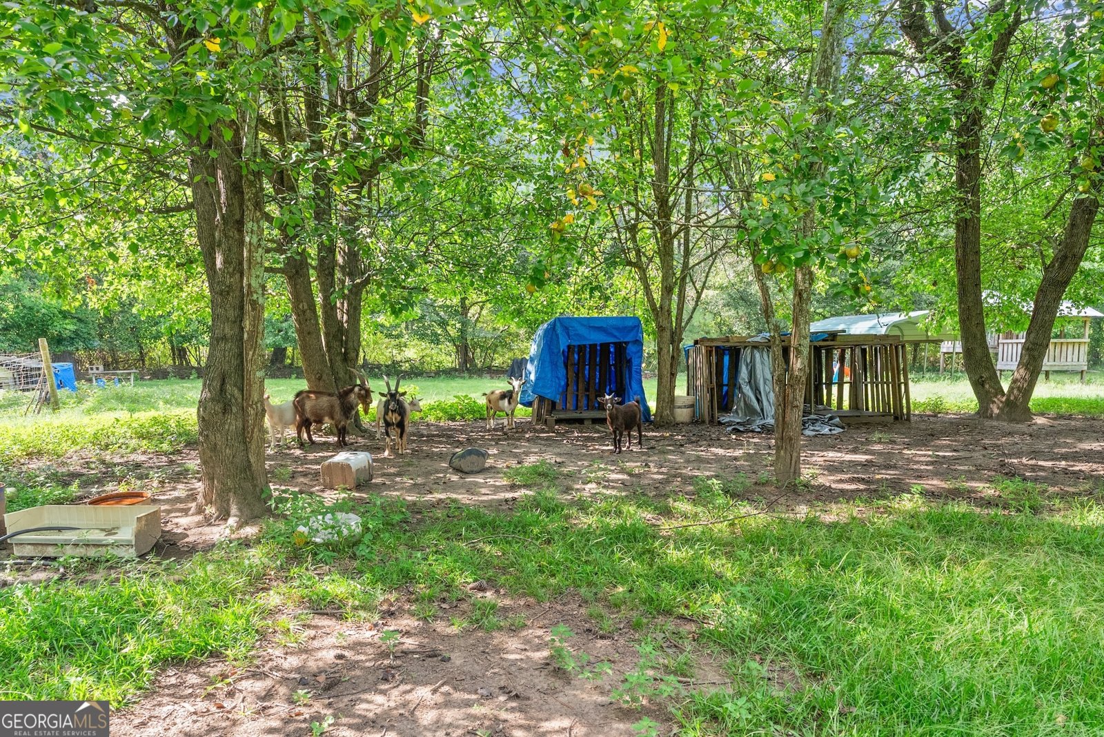 4526 Railroad Street Oakwood - 32