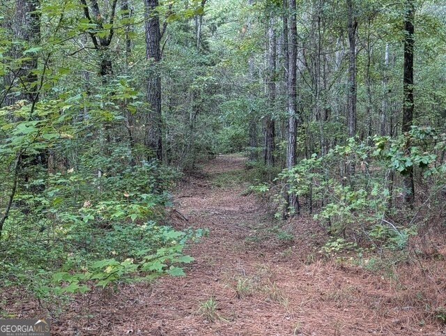 430 Briley Road LaGrange - 16