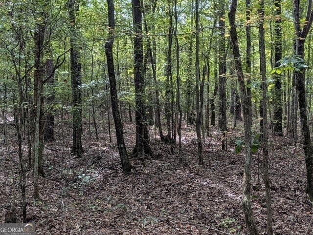430 Briley Road LaGrange - 18
