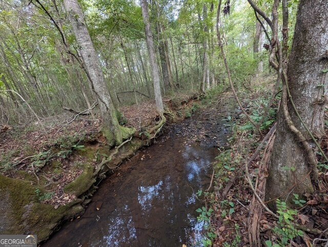 430 Briley Road LaGrange - 21