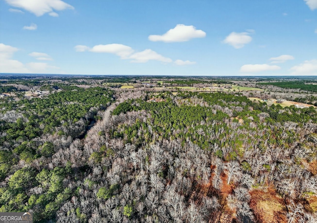 430 Briley Road LaGrange - Photo 23