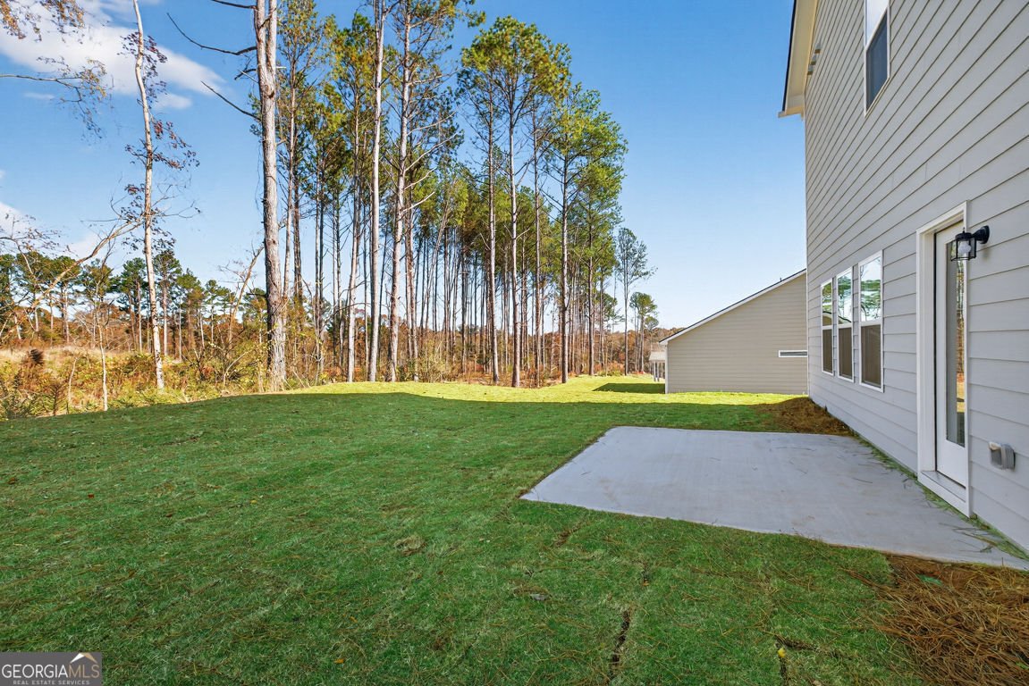 45 Thedford Drive Hoschton - 46