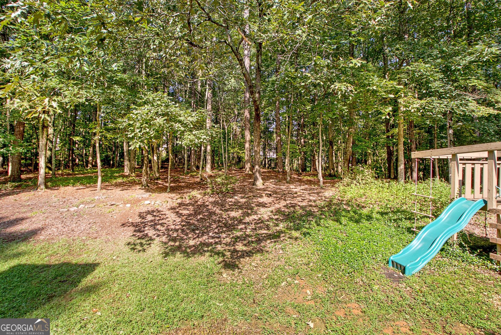 335 Weeping Willow Way Tyrone - 23