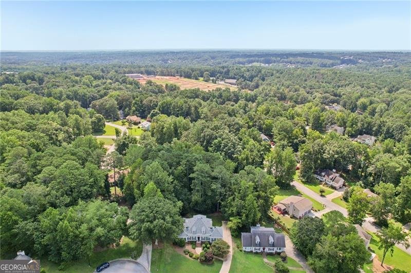 9532 Clear Lake Court Douglasville - 18
