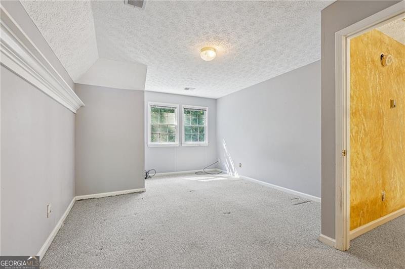 9532 Clear Lake Court Douglasville - 32