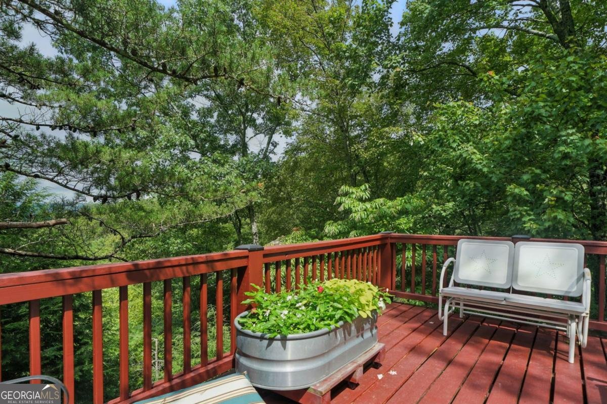125 Laurel Mountain Road Blue Ridge - 17