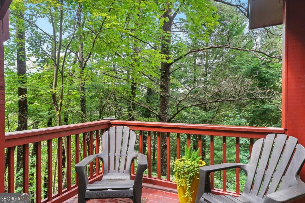 125 Laurel Mountain Road Blue Ridge - 18