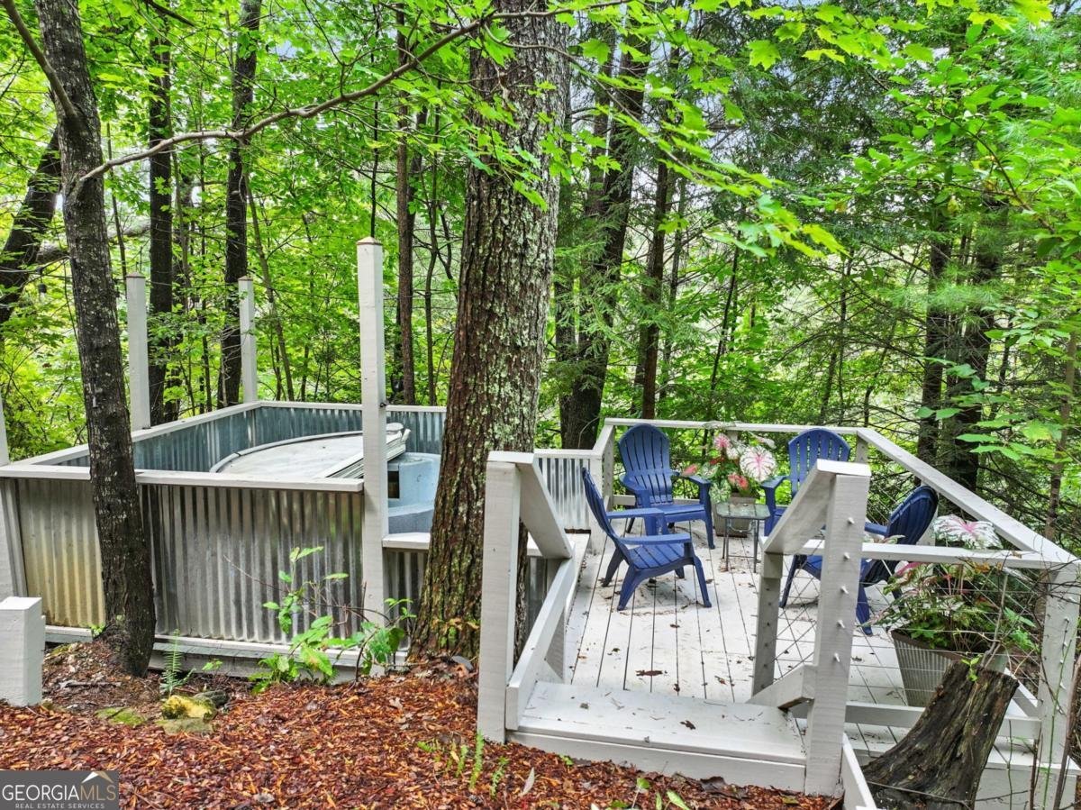 125 Laurel Mountain Road Blue Ridge - 21