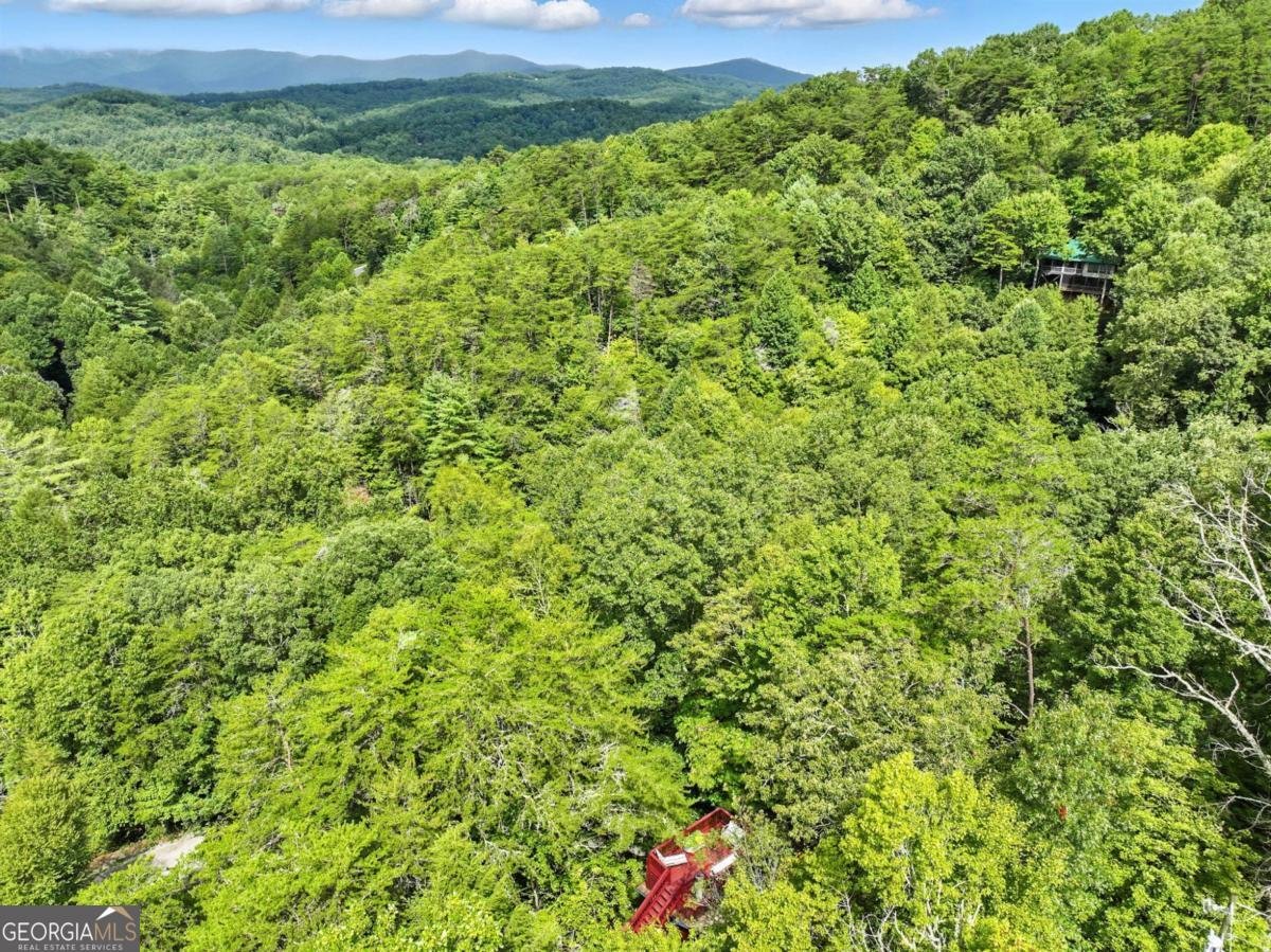 125 Laurel Mountain Road Blue Ridge - 24