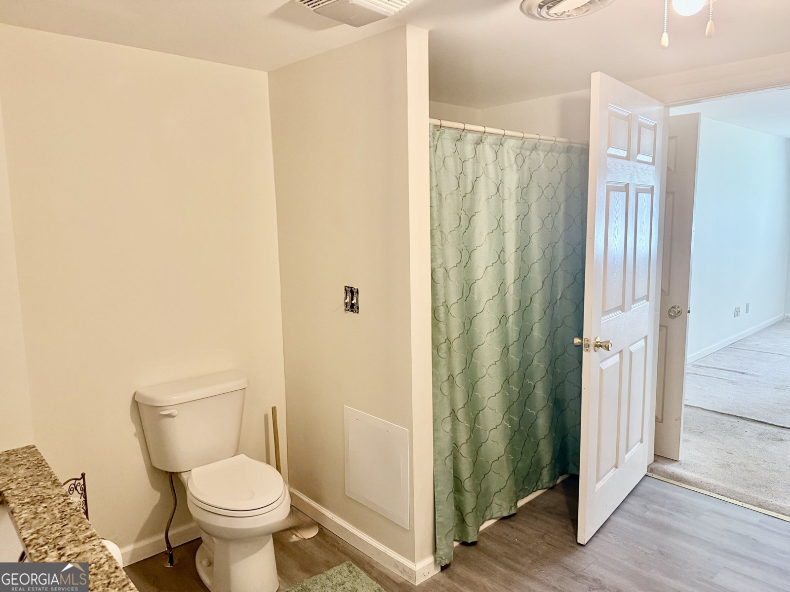 585 Greeson Street Summerville - 18