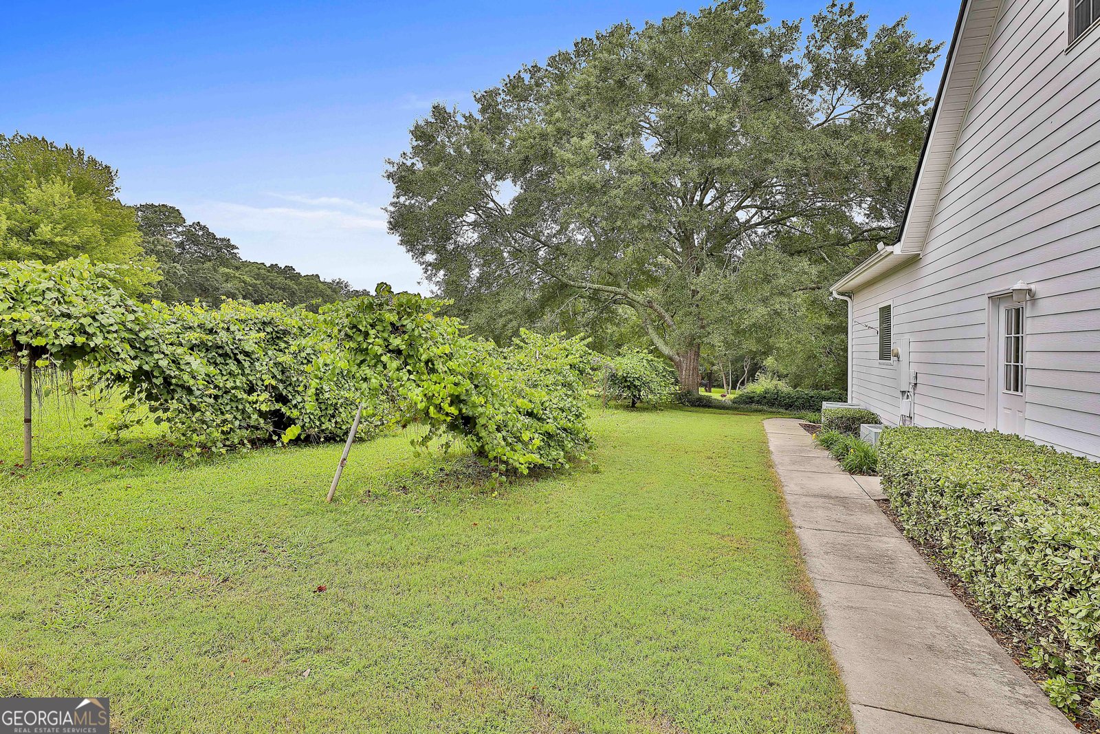 188 Ball Street Moreland - 9