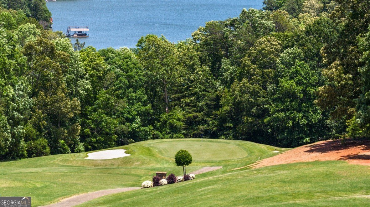 73 Hughes Place Drive Dawsonville - 88