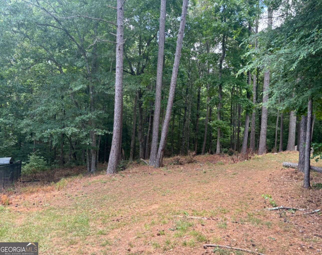 1695 Butler Bridge Road Covington - 25