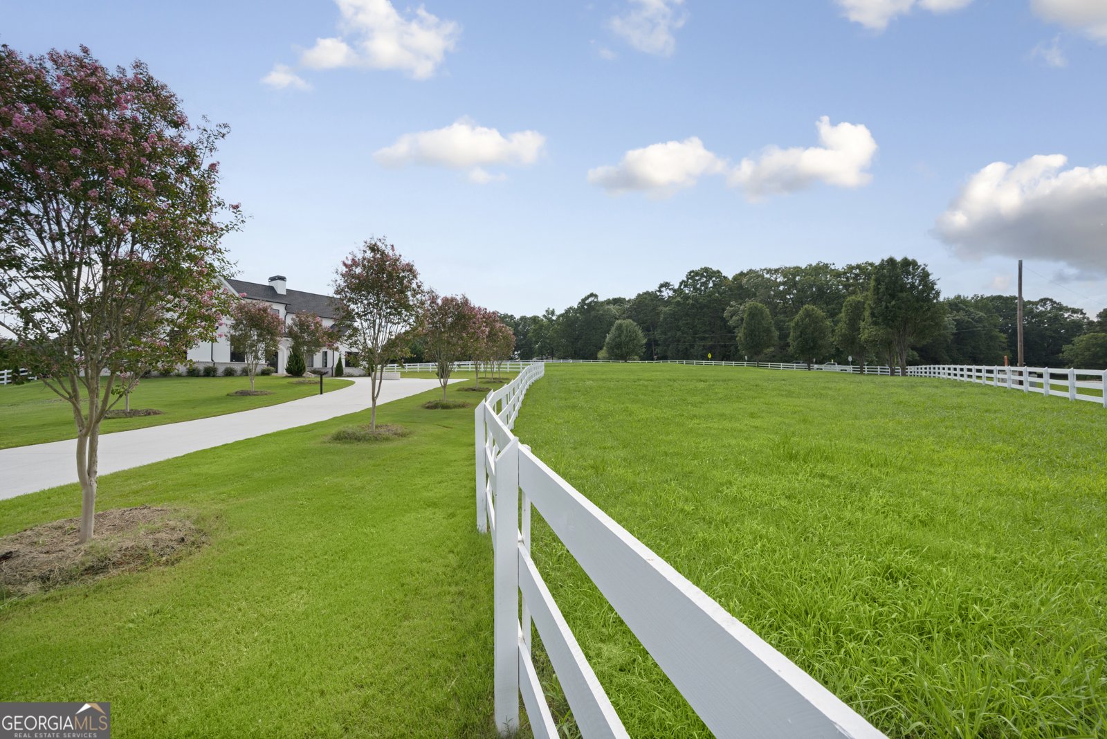 1054 Dee Kennedy Road Auburn - 34