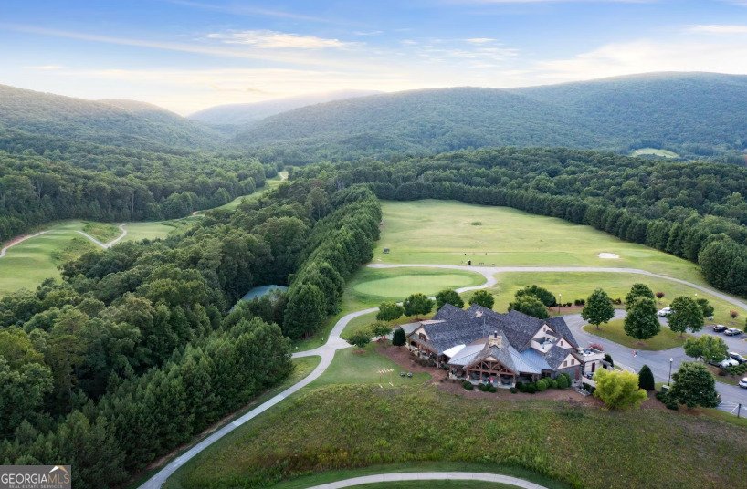 176 Narrows Drive Waleska - 20