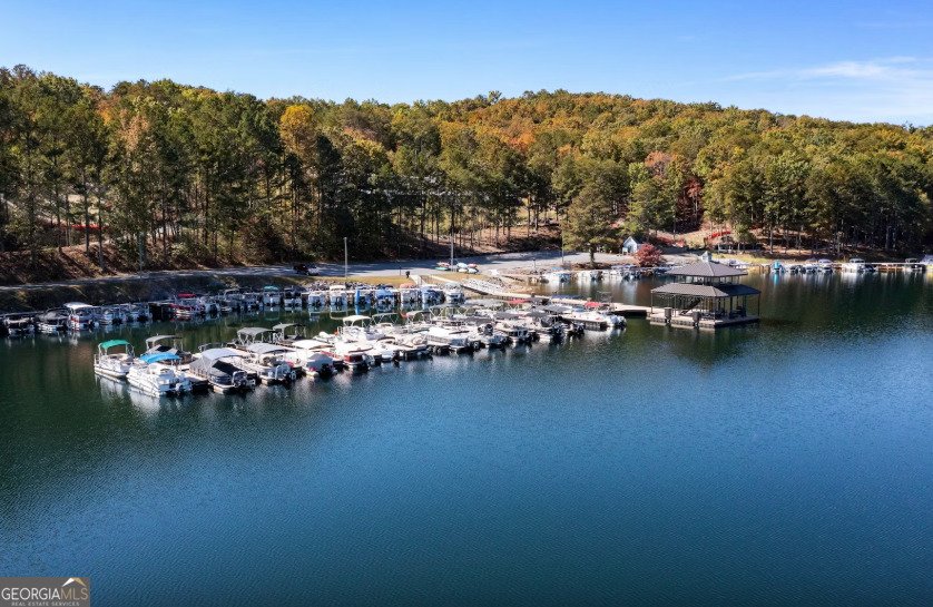 176 Narrows Drive Waleska - 27