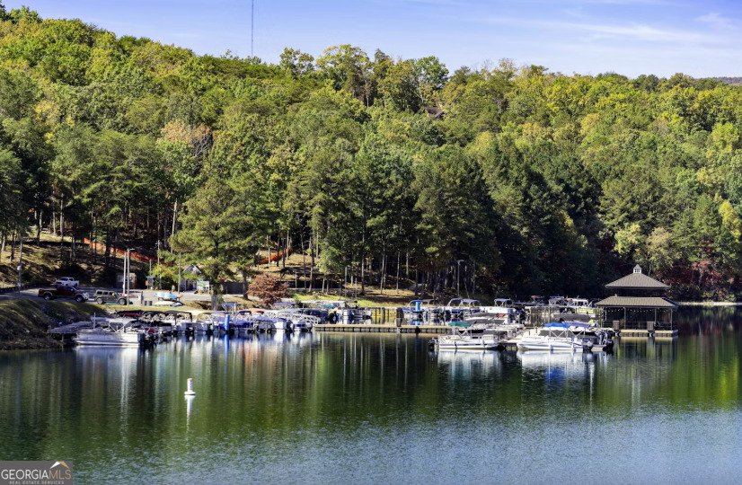 176 Narrows Drive Waleska - 28