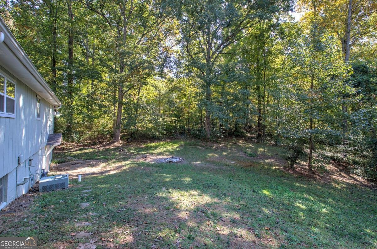 3460 Meadowview Drive Lithia Springs - 27