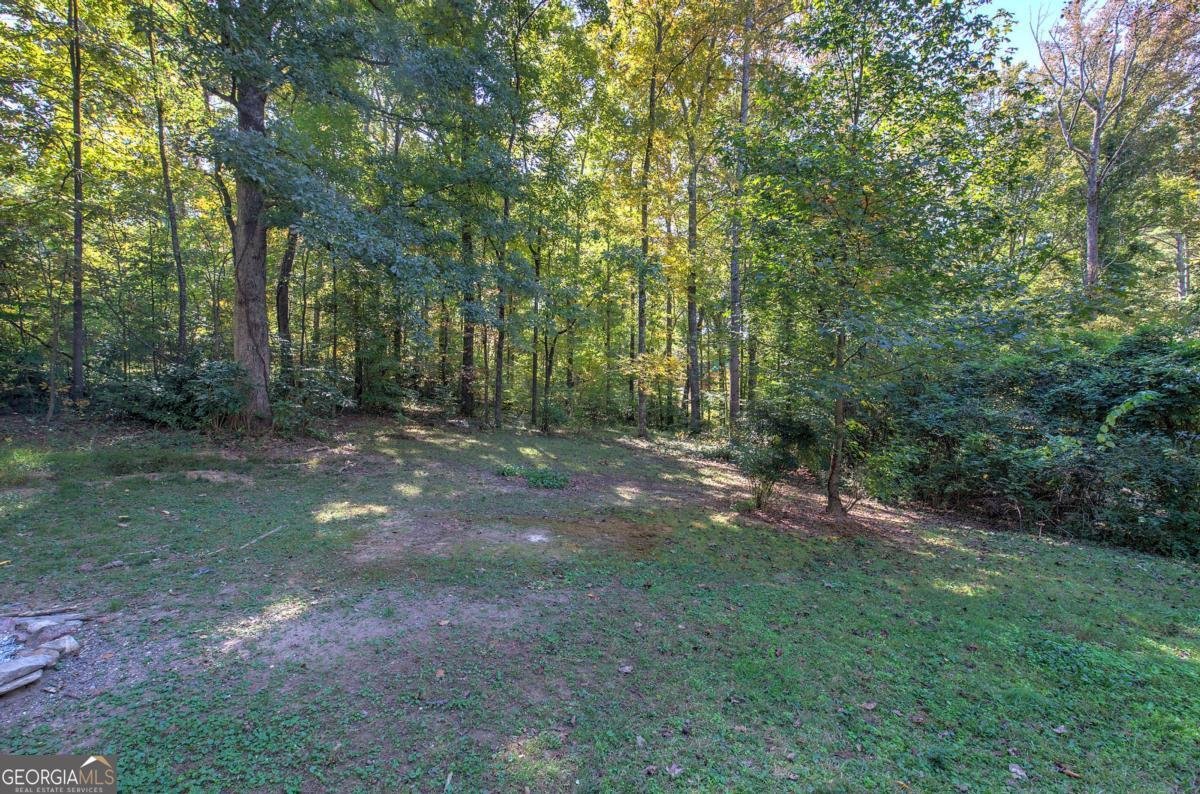 3460 Meadowview Drive Lithia Springs - 29