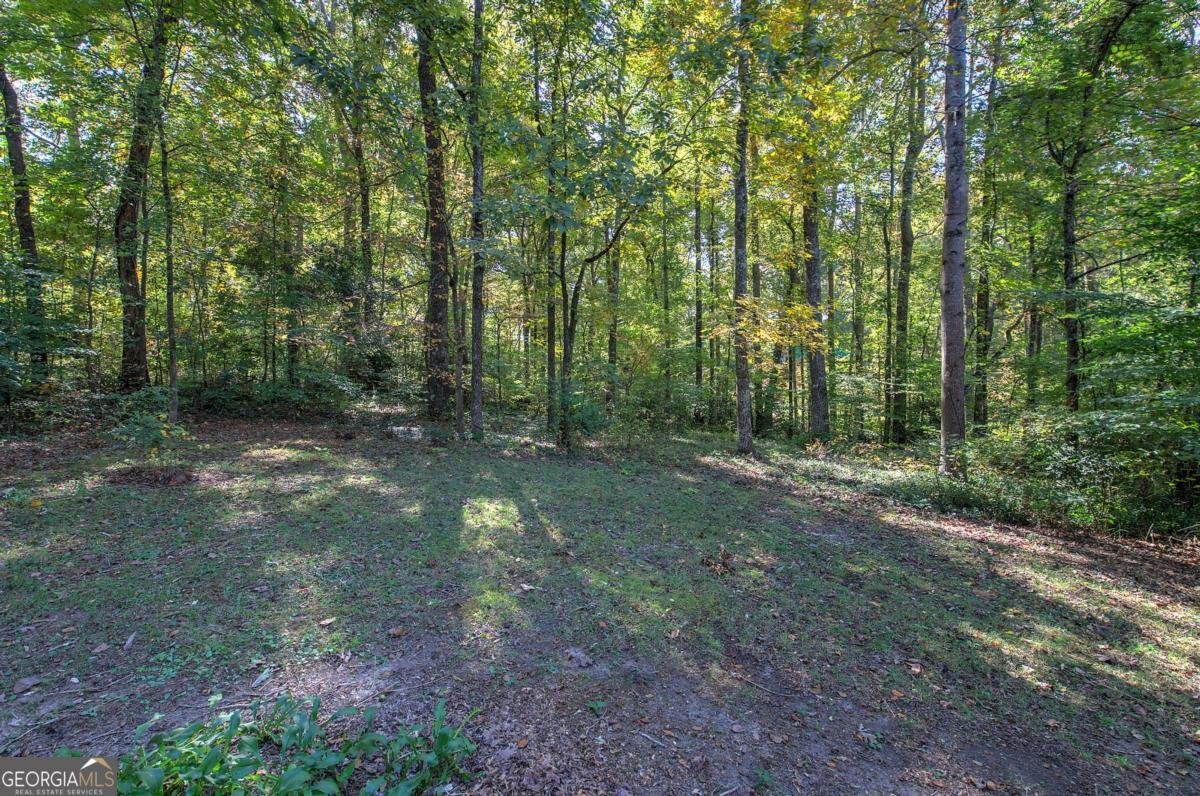 3460 Meadowview Drive Lithia Springs - 30