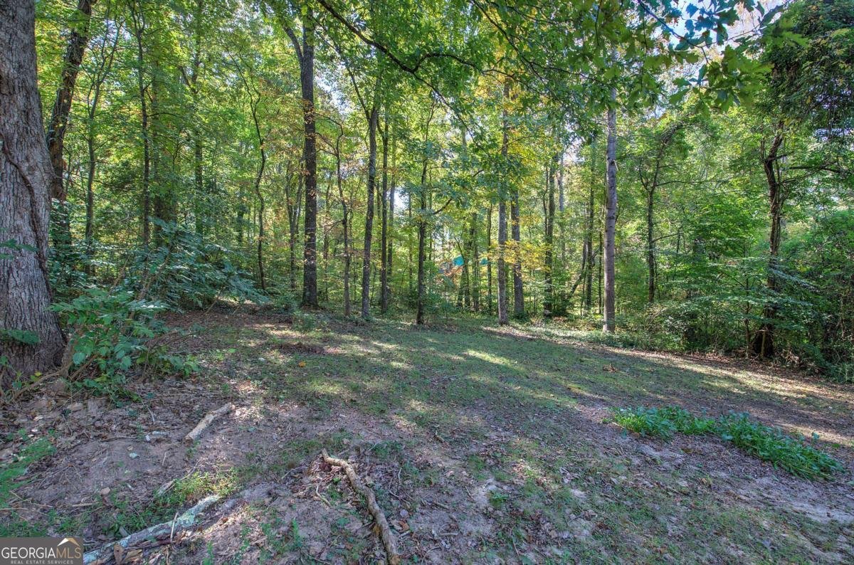 3460 Meadowview Drive Lithia Springs - 31
