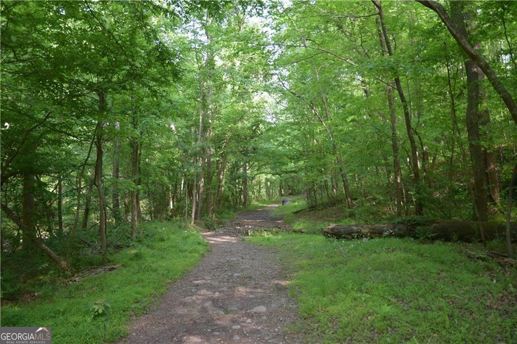 1255 Grand View Drive Smyrna - 4